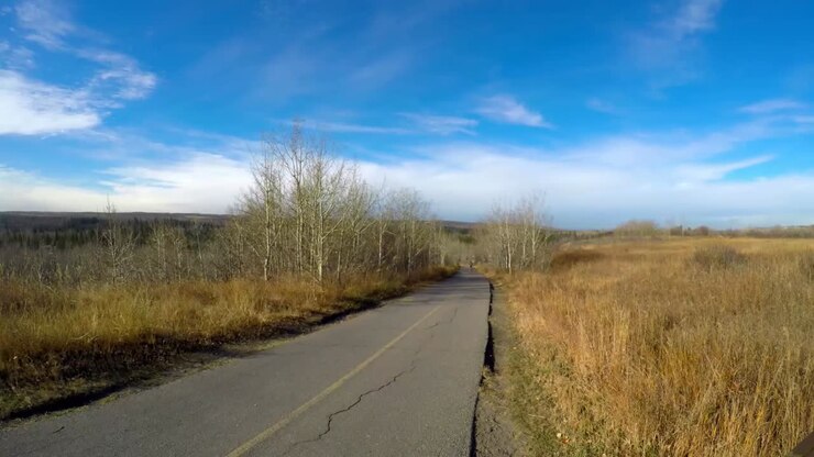 Ciclista in bicicletta su una strada di campagna in un bosco 4k