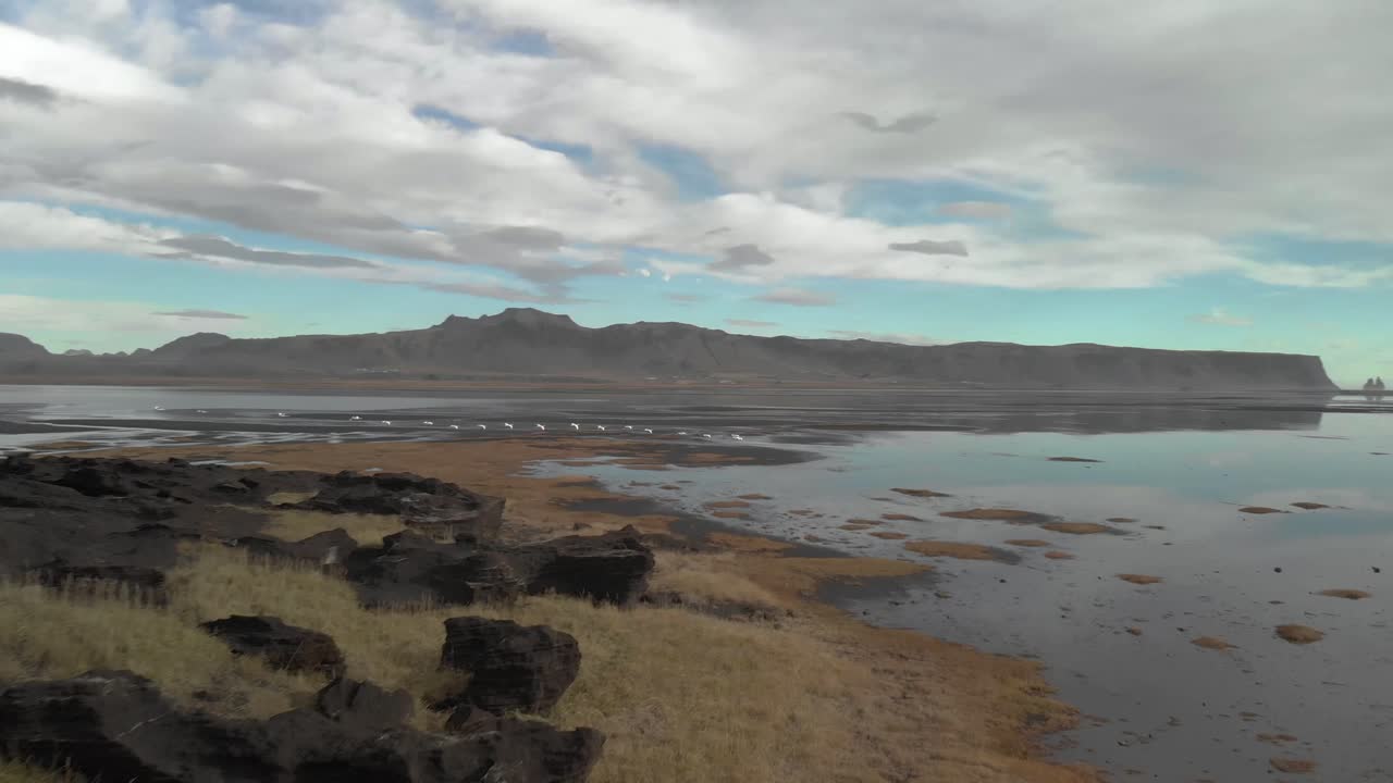 disparo de un dron siguiendo a cisnes volando a través de un lago en islandia