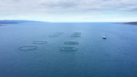 Aerial-footage-Farm-salmon-fishing-in-Norway