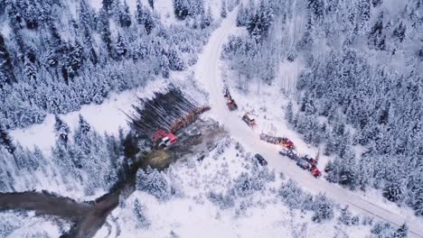 Drone-dramatically-moves-towards-machinery-and-transport-equipment-near-snow-covered-piles-of-cut-mature-pine-trees-in-winter-timber-logging-camp-at-dawn-before-sunrise