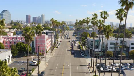 cinematic aerial over palm tree lined street during a beautiful sunny day