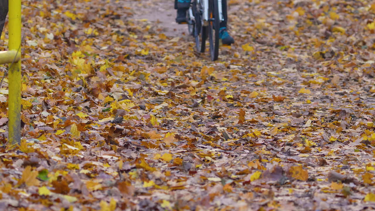 Two cyclists ride through autumn leaves on a scenic path in , Poland