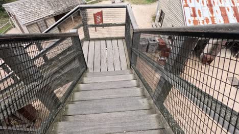 walking down stairs in historical outdoor setting