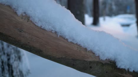 snow covered log in harz mountains germany, warm sunlighht shining through cold winter forest