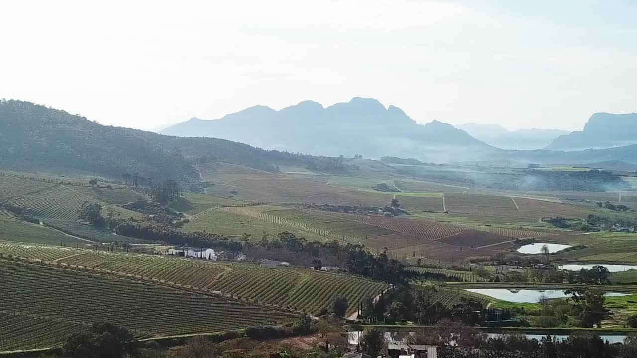 앞으로 날아가는 남아프리카 포도원을 내려다보는 드론 샷