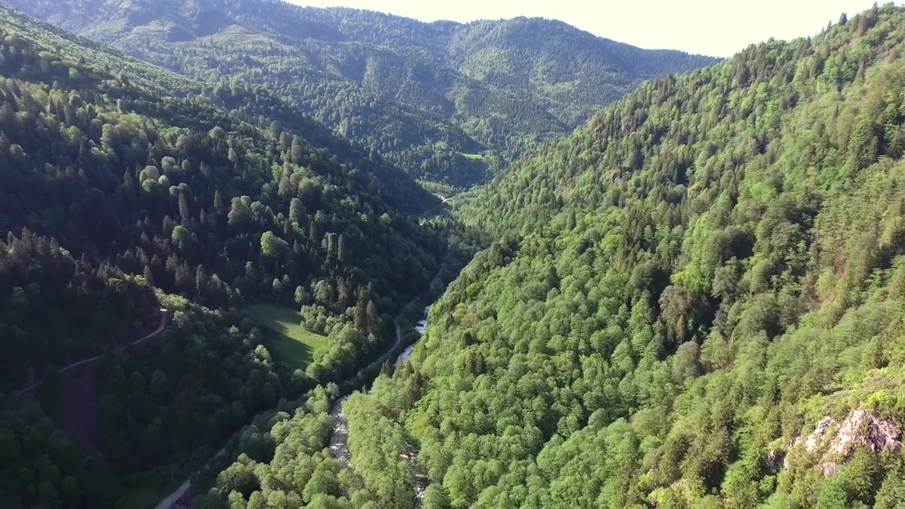 Vista aérea de un valle de montaña verde exuberante con río serpenteante