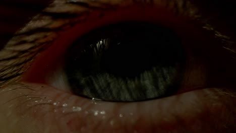 primer plano de un ojo humano
