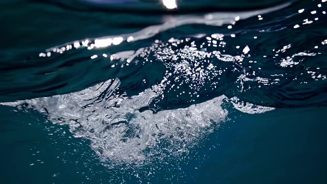 Vista subacquea e di superficie delle onde dell'oceano con il riverbero del sole