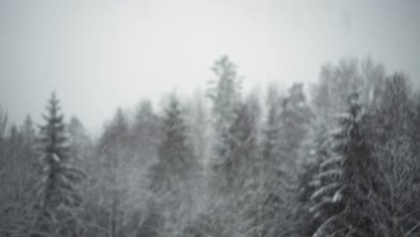 Snow-Covered-Winter-Forest-Under-Stormy-Snowfall-And-Gloomy-Sky---static