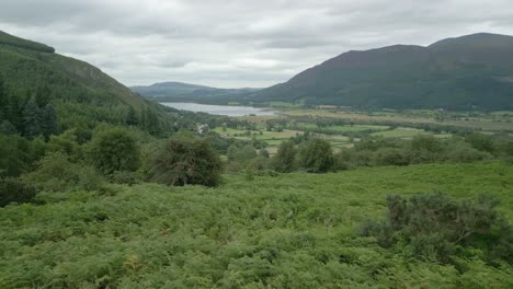 Niedriger-Und-Langsamer-Flug-über-Farnwipfel-In-Richtung-Bassenthwaite-Lake-In-Der-Ferne