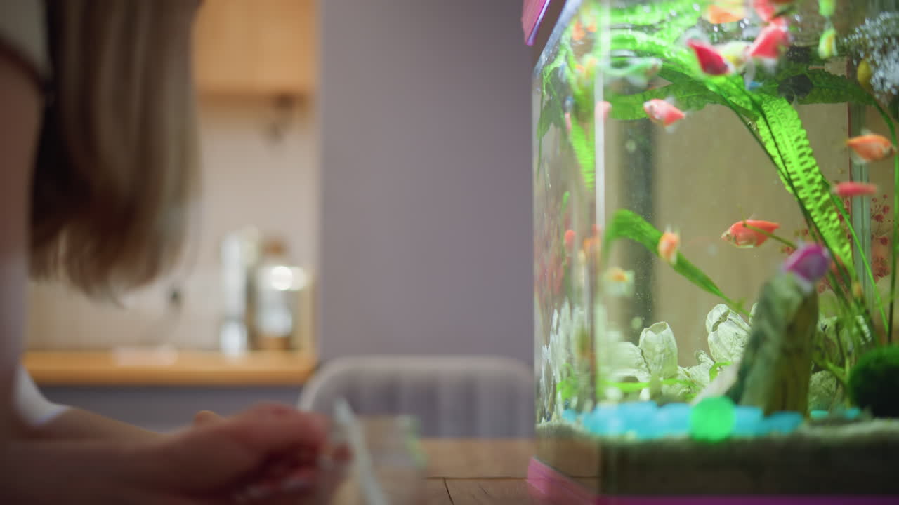 Young boy in blue shirt leans close to aquarium with bright fish, smiling with fascination while observing underwater life, enjoying colorful fish swimming among green plants inside glass tank
