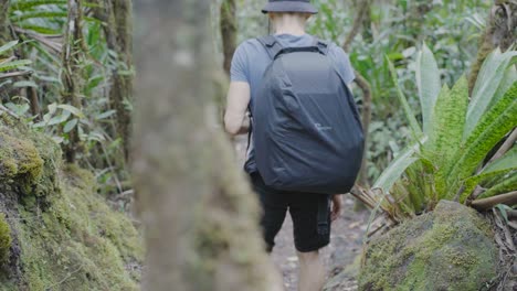 a man hikes arenal volcano trail in costa rica