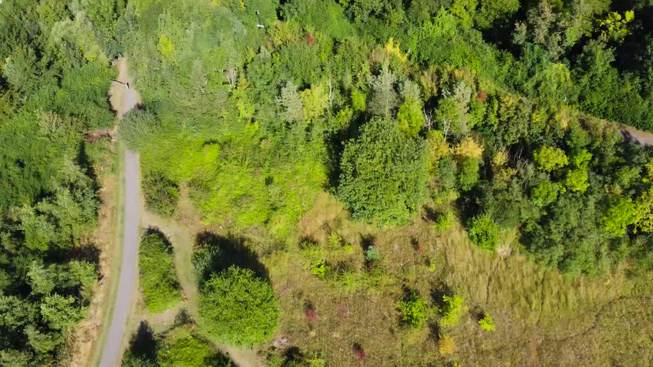 antena: camino a través del bosque verde con colonia residencial, tiro volador de drones