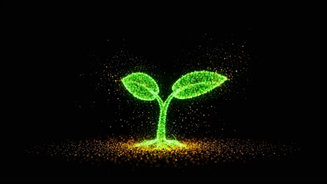creative animation demonstrates growth of a plant from glowing particles and sparks in dark background