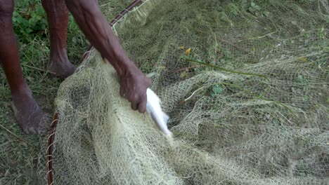 the fish is caught in the net.