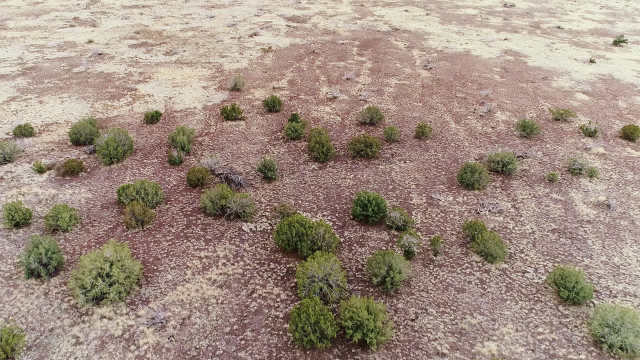 Drone flying low over dry desert landscape with scattered bushes in November
