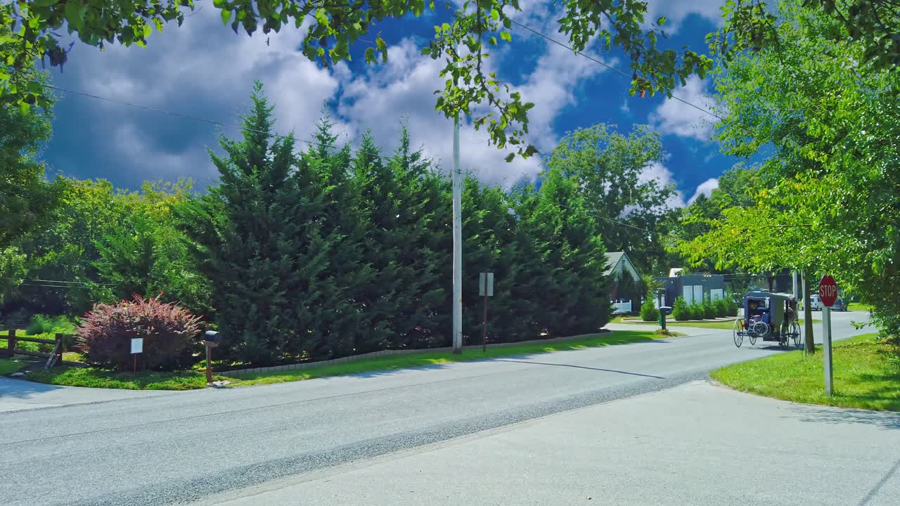 여름날 길을 따라 여행하는 등에 휠체어가 달린 아미쉬 말과 마차