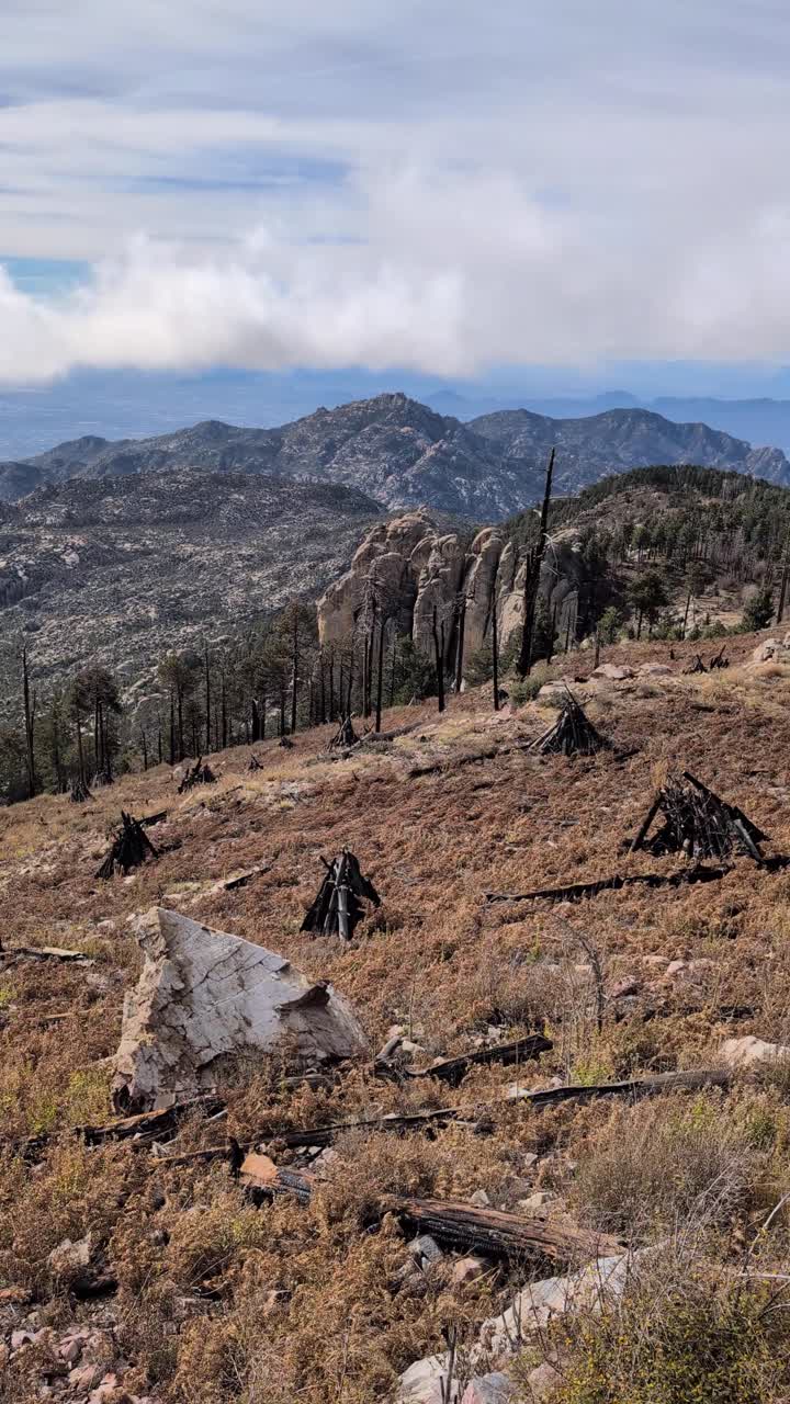 Video verticale che riprende un'ampia vista panoramica a 180 gradi dalla cima del Mt Lemmon Loop vicino a Tucson, in Arizona. L'inquadratura rivela un terreno montuoso e accidentato, alberi segnati dal fuoco e un paesaggio desertico roccioso.