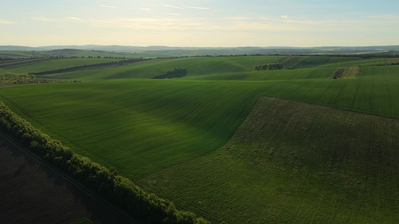 Aerial drone view of vast green rolling farmland with scattered tree clusters and layered hills stretching to a distant horizon, Moravia, Czech Republic.