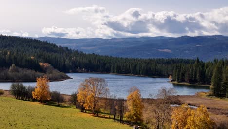 eternal greens: mctaggart lakes and the timeless beauty of dunn lake rd