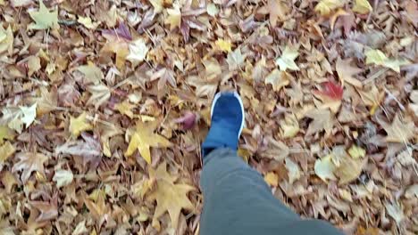 walking-on-beautiful-autumn-leaves-slow-motion