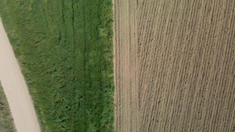 Ojo-De-Pájaro-Aéreo-Sobre-El-Campo-En-Parte-Con-Colza-Y-En-Parte-Después-De-La-Cosecha