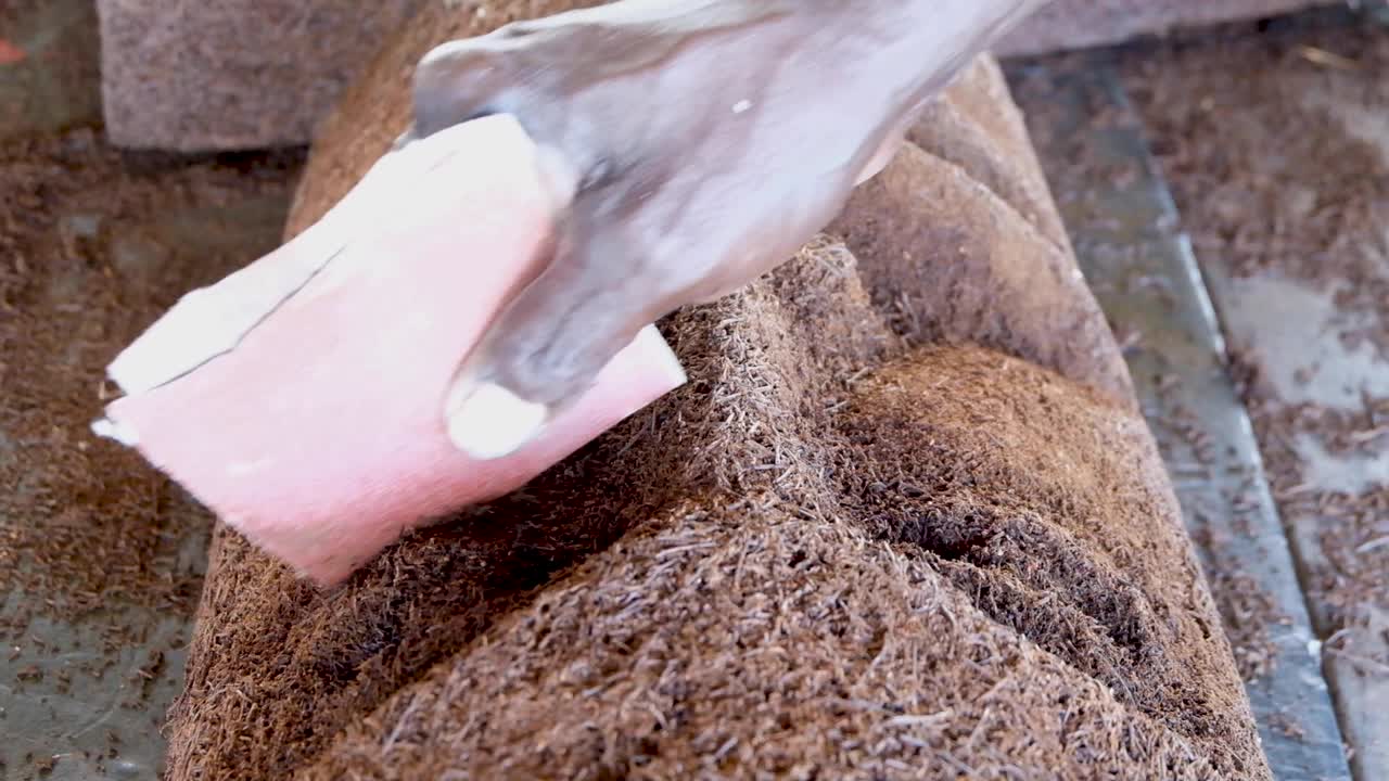 목공인의 조각된 얼굴을 닫고 사포로 나무 고사리에서 조각한 목각 마스크를 매끄럽게 하고 샌딩합니다.