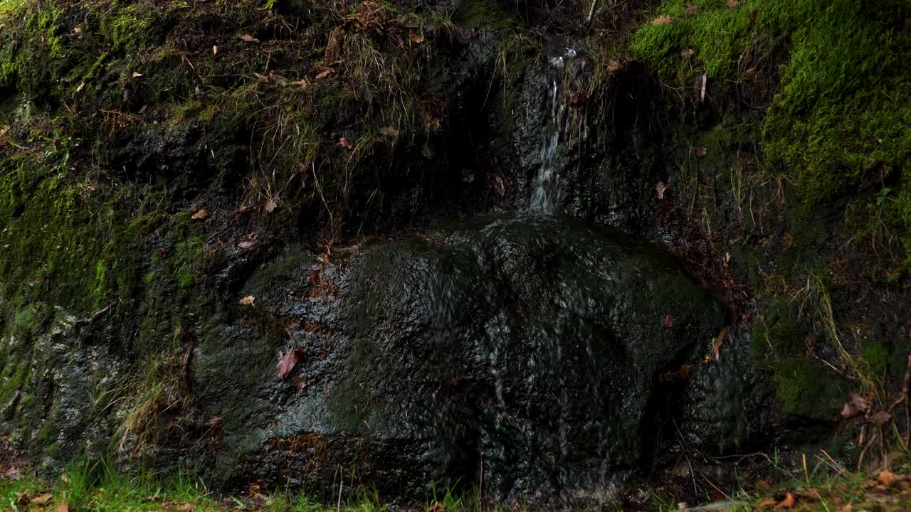 fuente de musgo en el monasterio de san pedro de rocas, esgos, españa