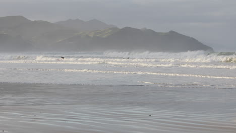 pantalla de poderosas olas en la playa de caste point, nueva zelanda
