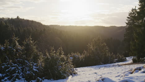 Wide-shot-of-the-small-valley-Kiesental-near-Ulm,-Germany