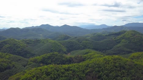 vista panorámica de exuberantes árboles verdes en el bosque contra las cadenas montañosas durante el día nublado en el campo de tailandia