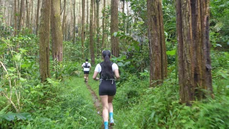 trail runners in a lush forest