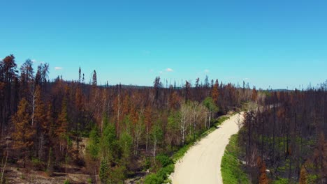 Rising-On-Empty-Road-Near-Burnt-Forest-Trees-Near-Lakes-In-Lebel-sur-Quévillon,-Quebec-Canada