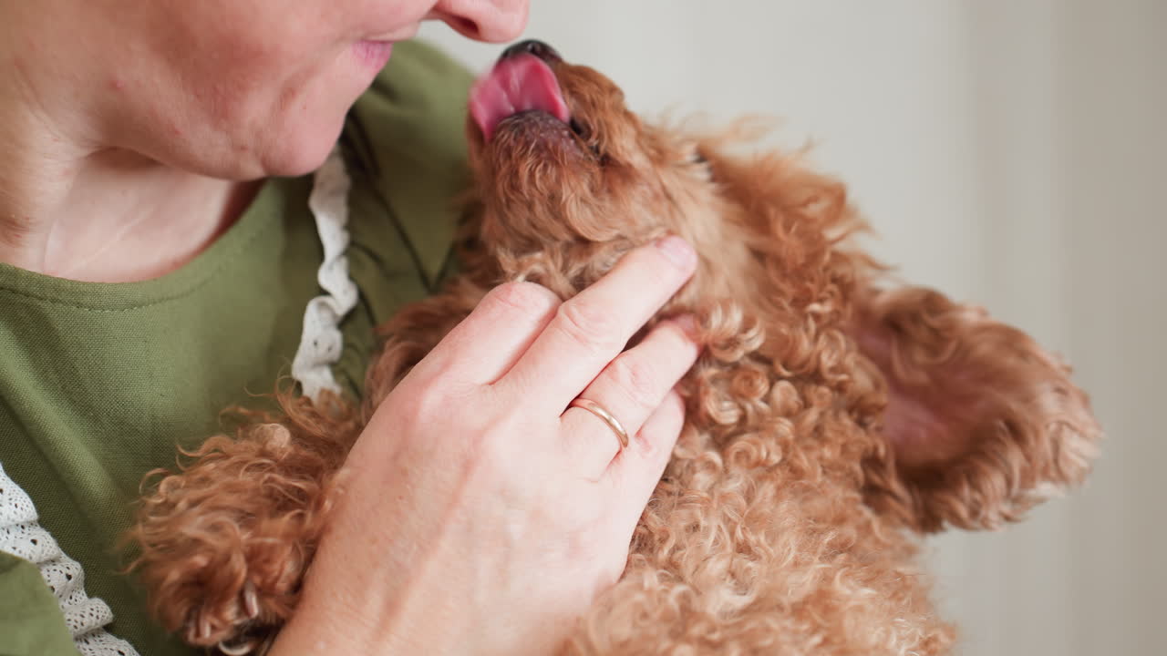 Close up of woman in green dress playfully engaging with fluffy brown puppy as she gently touches its neck and leans close to its mouth while dog extends tongue and she reacts with warm smile