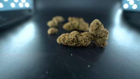un primer plano detallado de movimiento hacia adelante de una planta de cannabis, cepas híbridas de flores de marihuana, indica y sativa, cámara lenta de 120 fps en alta definición, iluminación de estudio cinematográfico, luces led