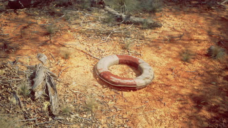 lonely life preserver on dry ground in a secluded outdoor area