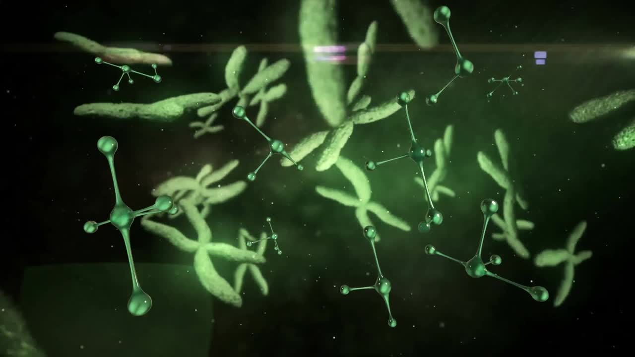 moléculas y cromosomas en movimiento