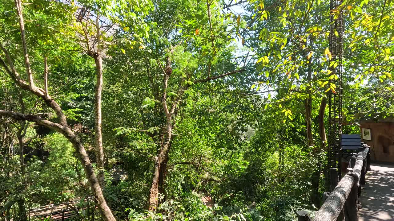 la vegetación exuberante y los caminos en un zoológico sereno