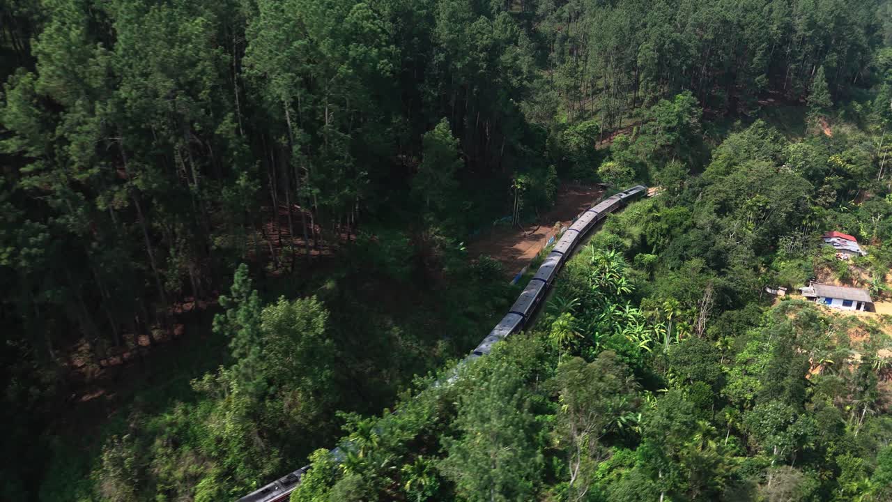 Treno che attraversa una foresta a Ella, nello Sri Lanka