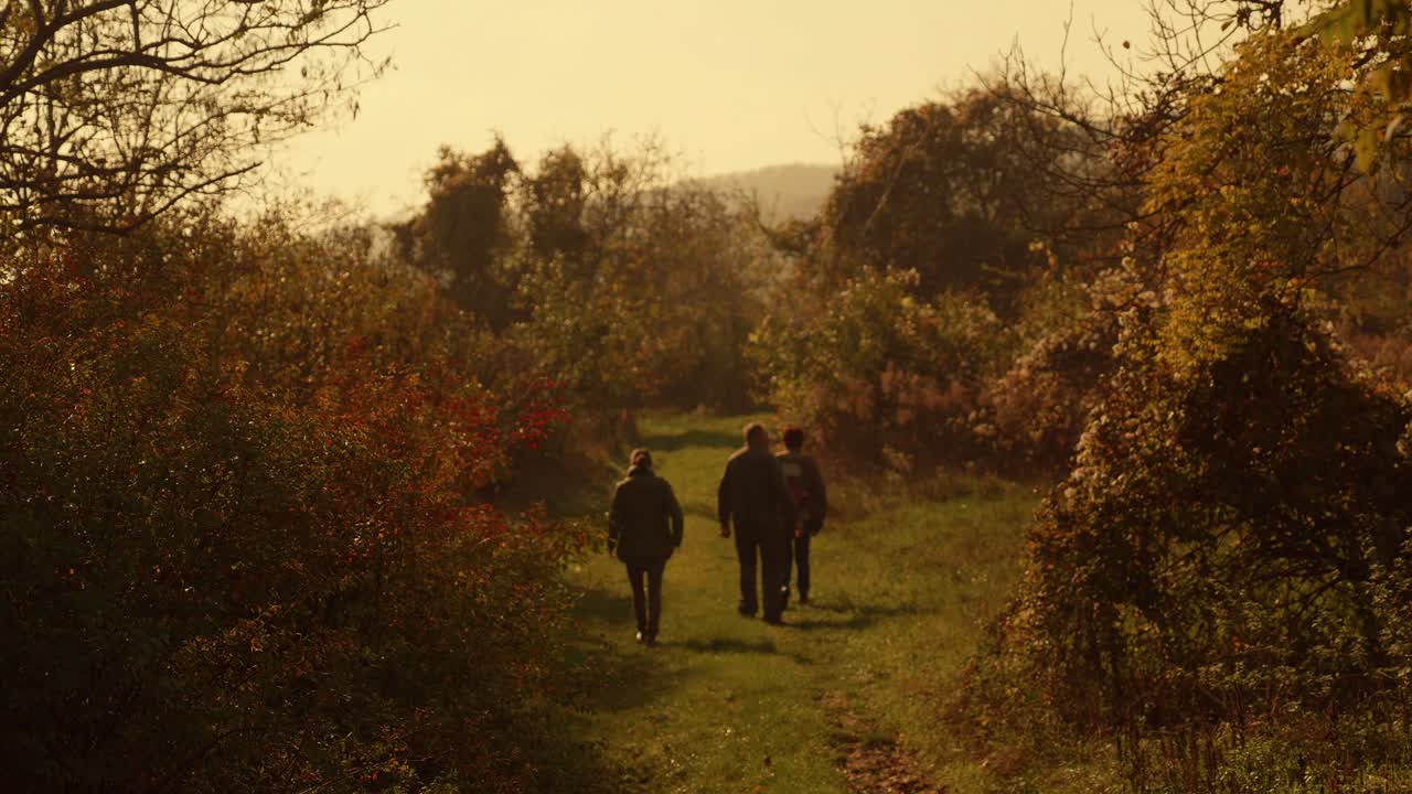 Walk on the hill in autumn