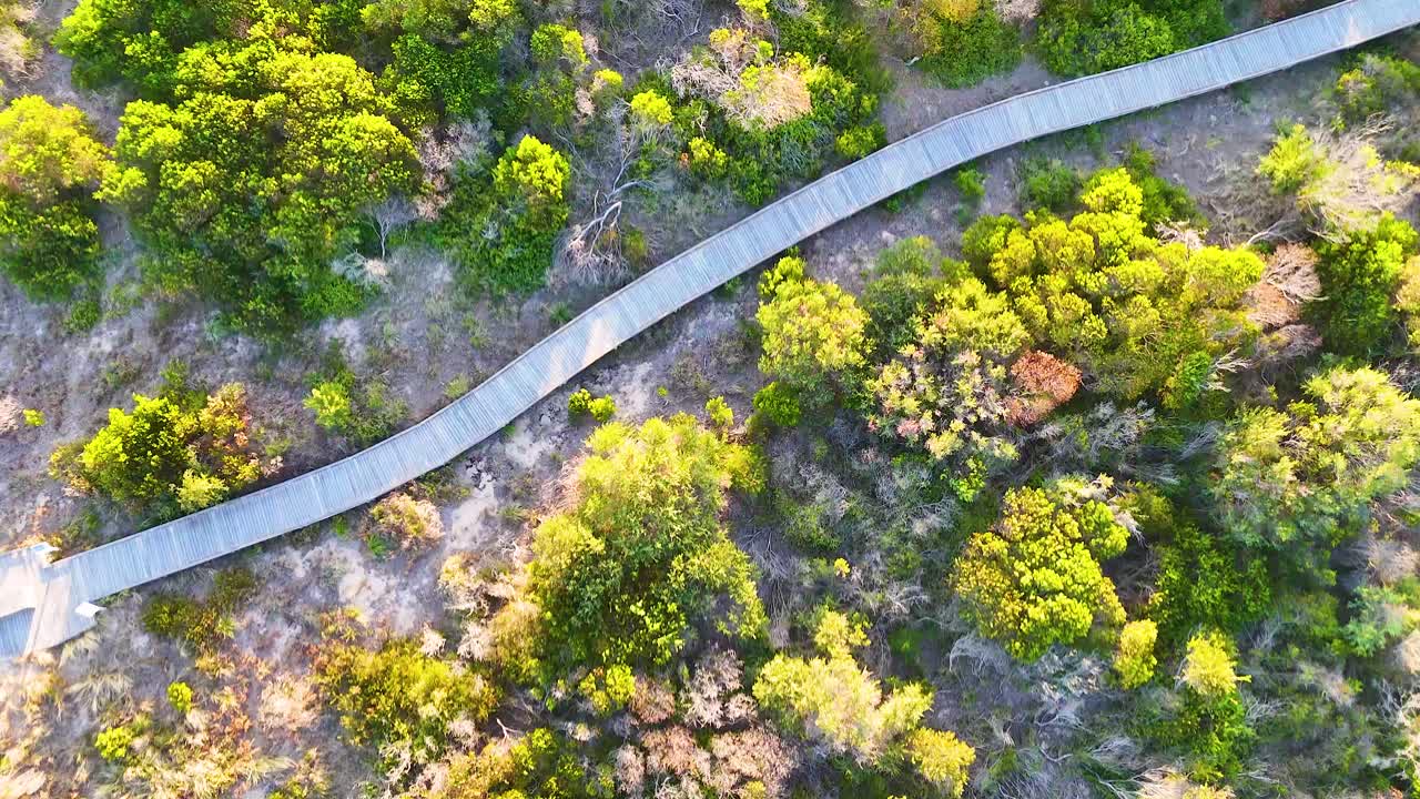Drone footage captures a winding boardwalk through lush greenery in Bellarine, Victoria, with vibrant sunlight highlighting the landscape