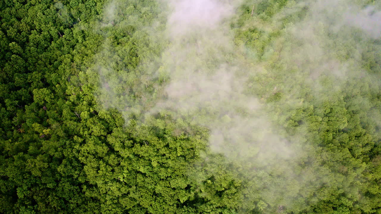 Aerial view drenched in the Smoky Mountains' mood.
