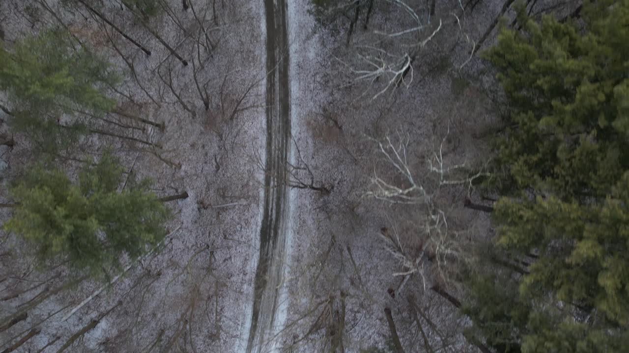 una vista de arriba hacia abajo sobre un camino de tierra con nieve y pinos altos, algunos desnudos sin hojas