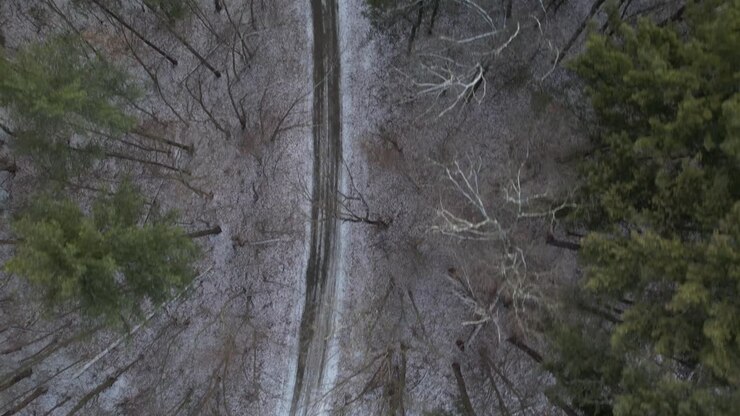 A top down view over a dirt road with snow and tall pine trees, some bare with no leaves