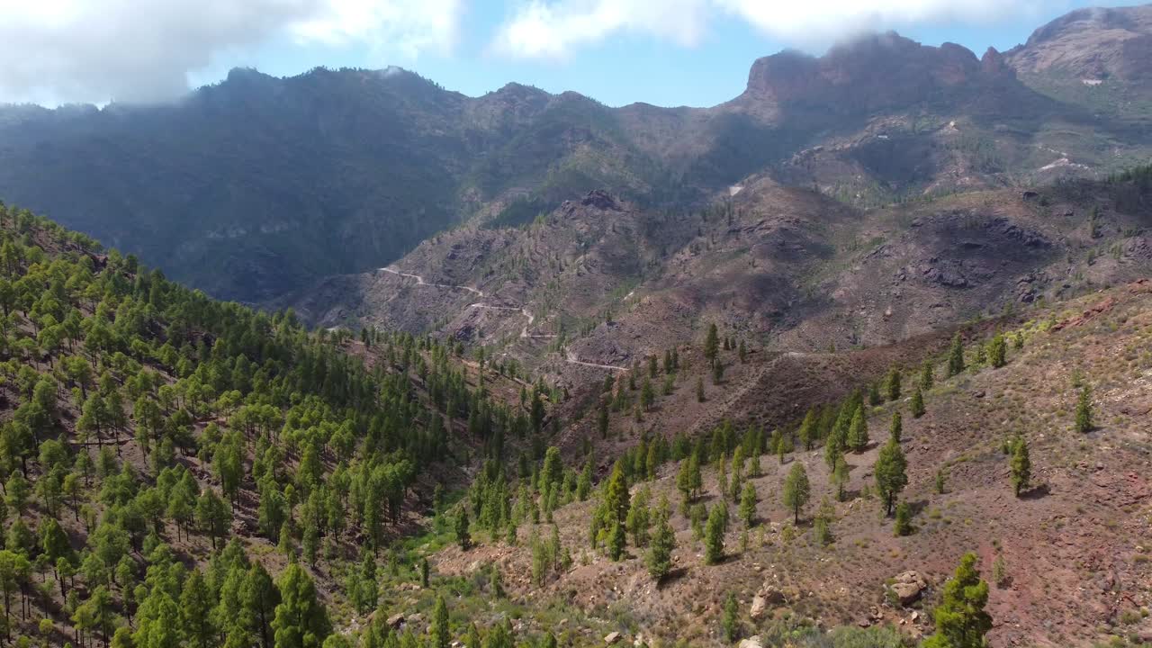 Aerial view over stunning volcanic rugged landscape with trees on Gran Canaria, Spain