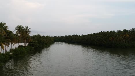 beautiful aerial shot of a backwater canal, sunset,coconut trees ,water transportation