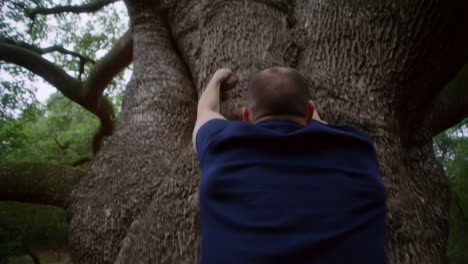 man attempting to climb a large tree