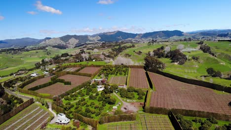 fertile land of new zealand with plantation and te urewera mountains in backdrop