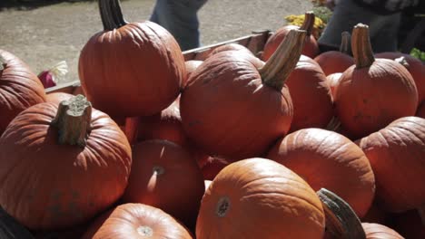 fall pumpkins on an antique wooden wagon