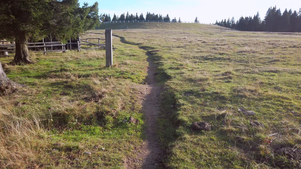 Scenic Path Through a Mountain Pasture